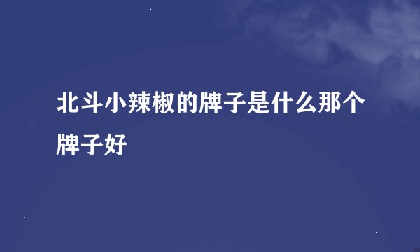 北斗小辣椒的牌子是什么那个牌子好
