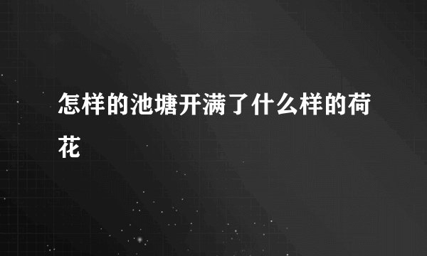 怎样的池塘开满了什么样的荷花