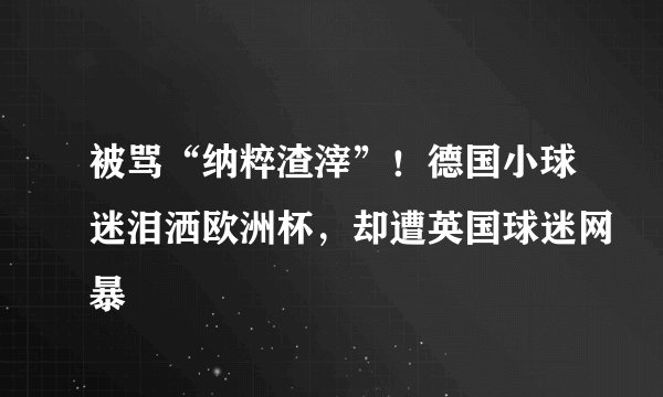被骂“纳粹渣滓”！德国小球迷泪洒欧洲杯，却遭英国球迷网暴