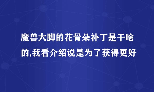 魔兽大脚的花骨朵补丁是干啥的,我看介绍说是为了获得更好