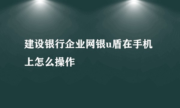 建设银行企业网银u盾在手机上怎么操作
