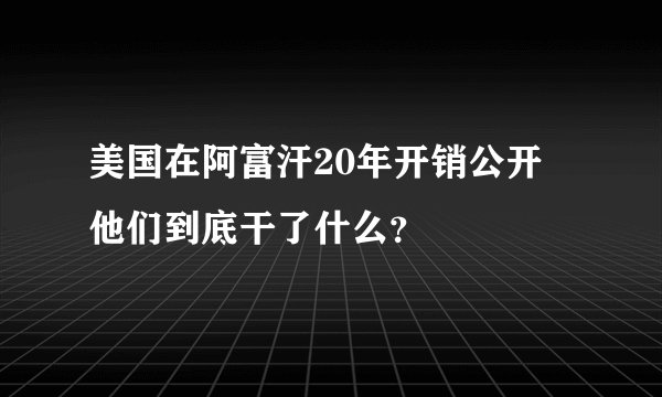 美国在阿富汗20年开销公开 他们到底干了什么？