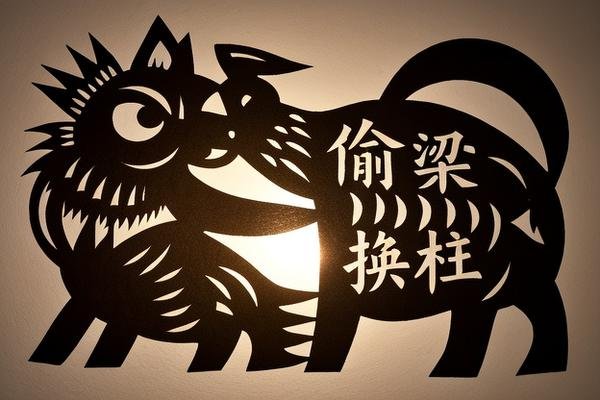 偷梁换柱什么生肖