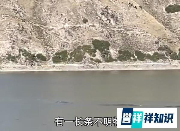 天山天池出现“水怪”？天池管委会：已开展调查