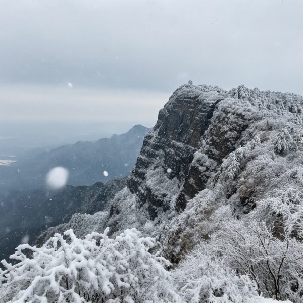 金佛山什么时候下雪