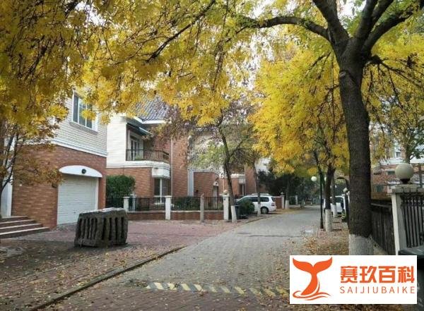 猫头鹰车志：宝沃汽车正式宣告破产 smart发布用户补偿方案