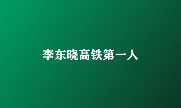 李东晓高铁第一人