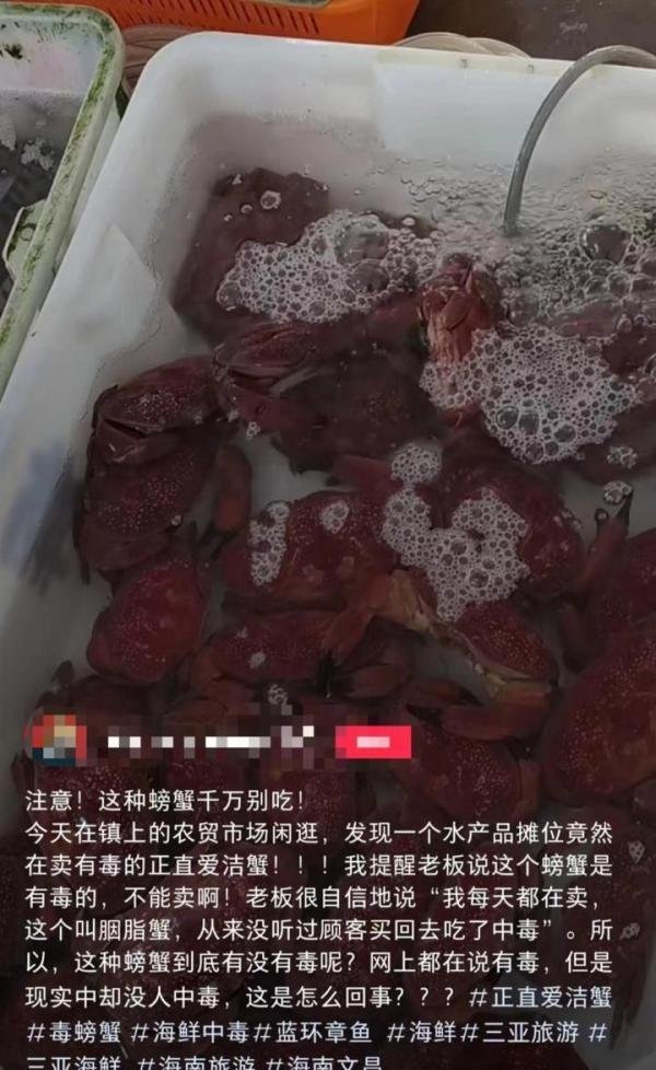 蓝环章鱼后又现毒螃蟹：海南一市场售卖正直爱洁蟹，据说已卖多年