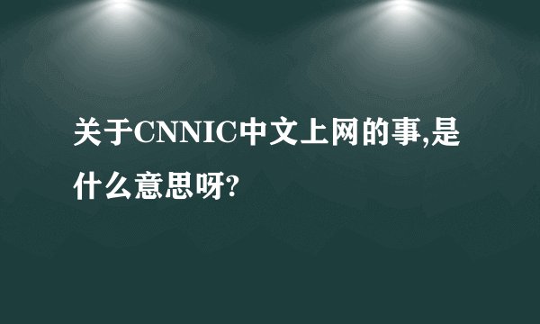 关于CNNIC中文上网的事,是什么意思呀?