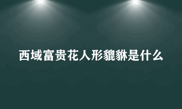 西域富贵花人形貔貅是什么