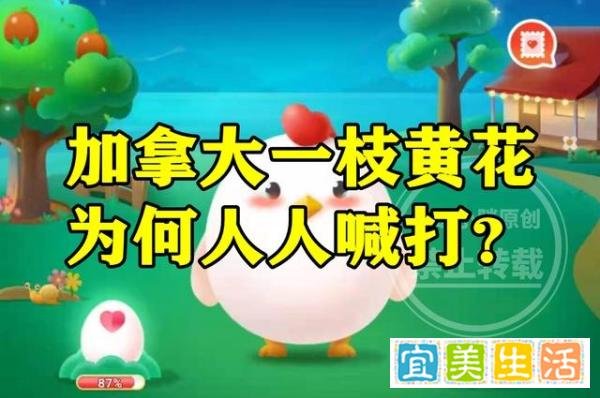 蚂蚁新村加拿大一枝黄花答案 加拿大一枝黄花为什么人人喊打？