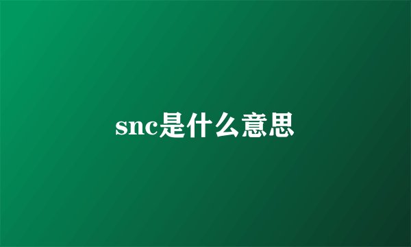 snc是什么意思