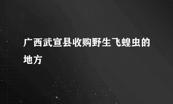 广西武宣县收购野生飞蝗虫的地方