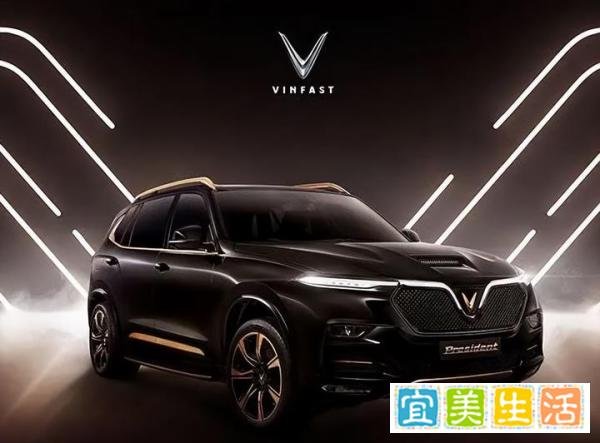 华尔街血洗越南首富？越南马斯克，变成越南许家印