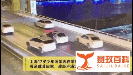 汪涵被曝曾丢失儿子，我却想起那个高架桥上痛哭的母亲
