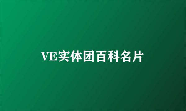 VE实体团百科名片