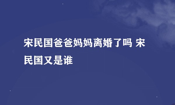 宋民国爸爸妈妈离婚了吗 宋民国又是谁