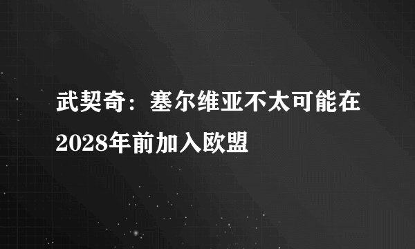 武契奇：塞尔维亚不太可能在2028年前加入欧盟