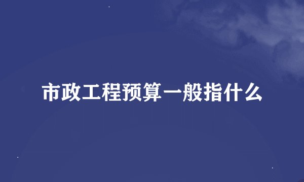 市政工程预算一般指什么
