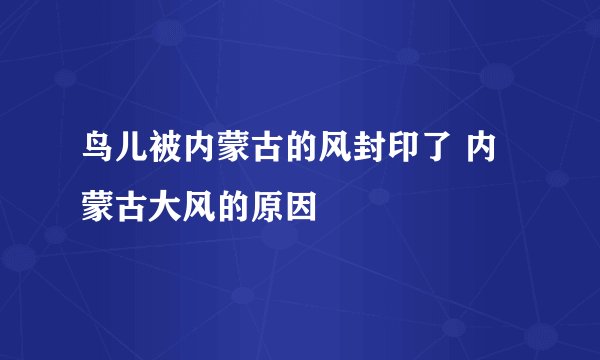 鸟儿被内蒙古的风封印了 内蒙古大风的原因