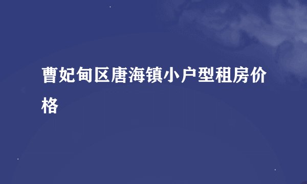 曹妃甸区唐海镇小户型租房价格