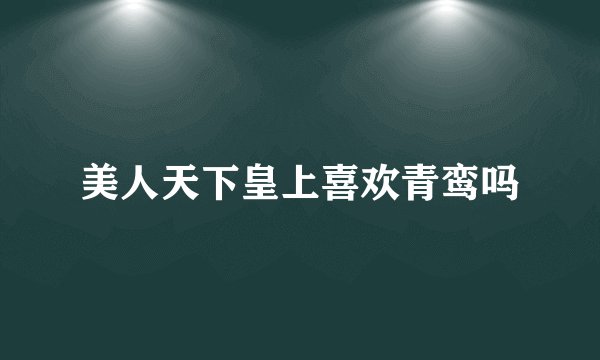 美人天下皇上喜欢青鸾吗
