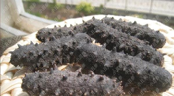 好的干海参多少钱一斤？