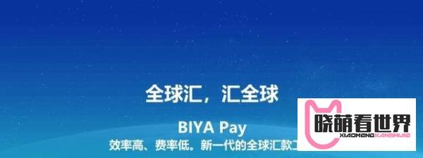 如何进行国际汇款?