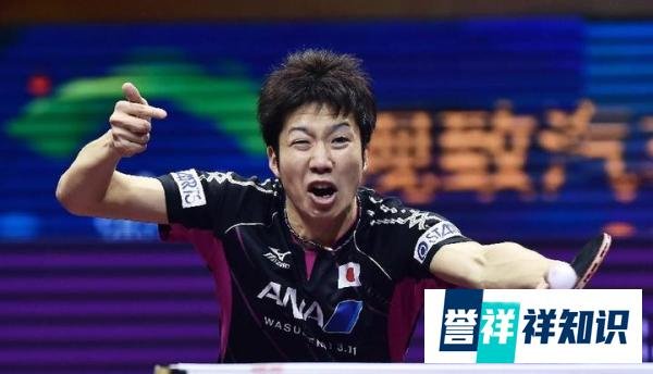 日乒公布团体第三人名单，水谷隼平野美宇入选，并给出充分理由