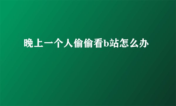 晚上一个人偷偷看b站怎么办