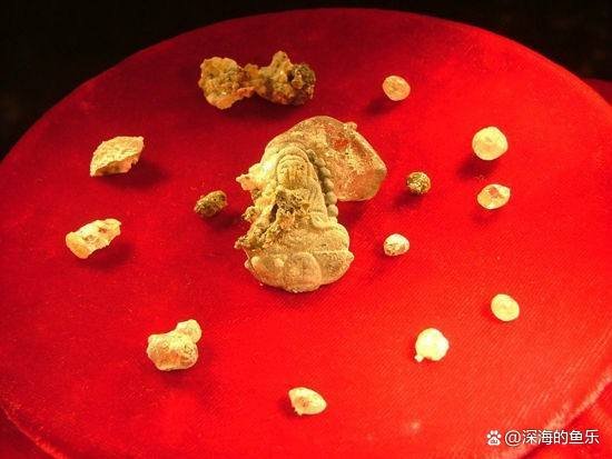 舍利子的化学成分是什么?为何普通人没有,只有高僧圆寂后才有?