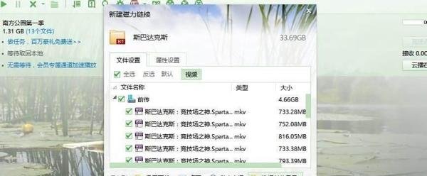 BT樱桃btcherry上的磁力链接如何转成种子储存