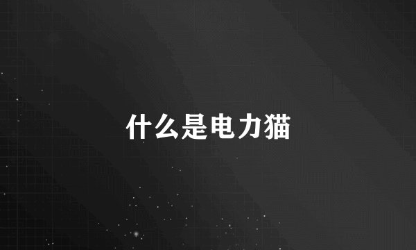 什么是电力猫