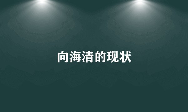 向海清的现状
