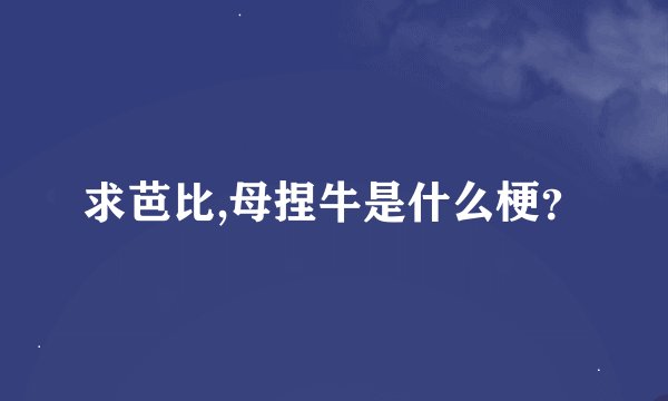 求芭比,母捏牛是什么梗？