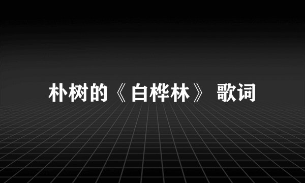 朴树的《白桦林》 歌词