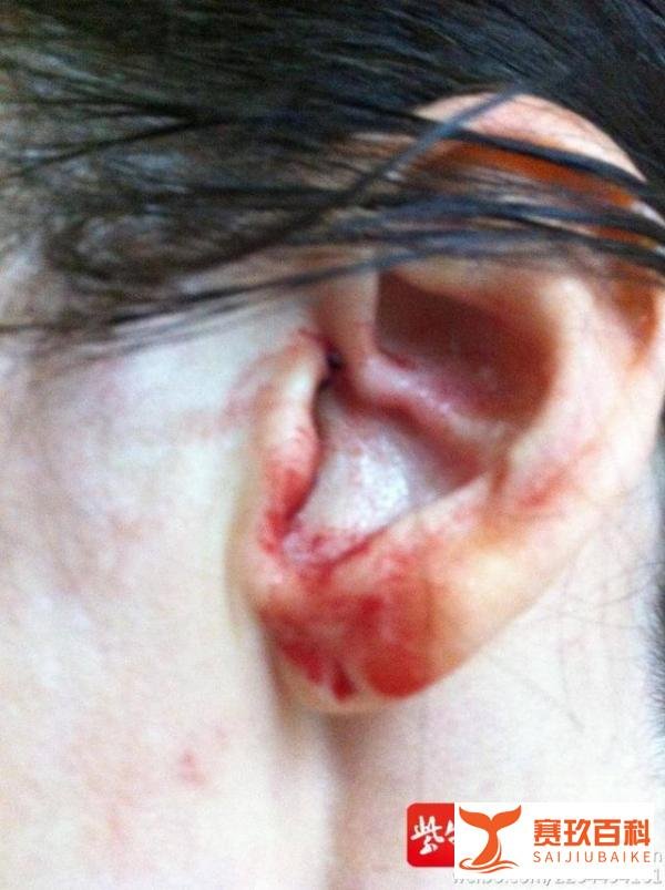 李阳被爆家暴女儿后续：“疯狂英语”工作人员称其仍在正常开课