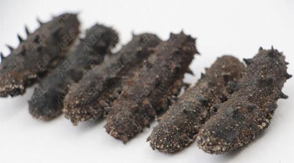 好的干海参多少钱一斤？