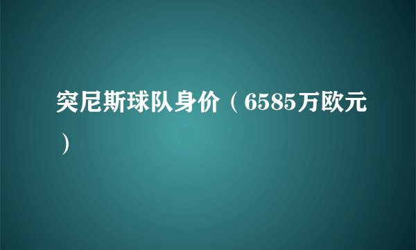 突尼斯球队身价（6585万欧元）