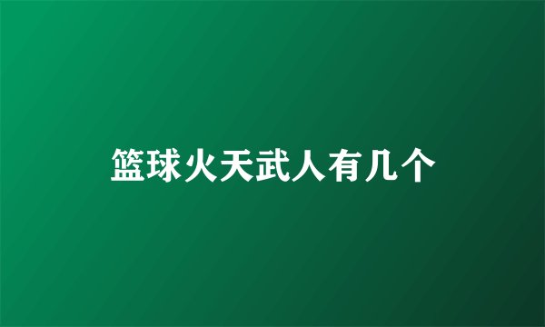篮球火天武人有几个