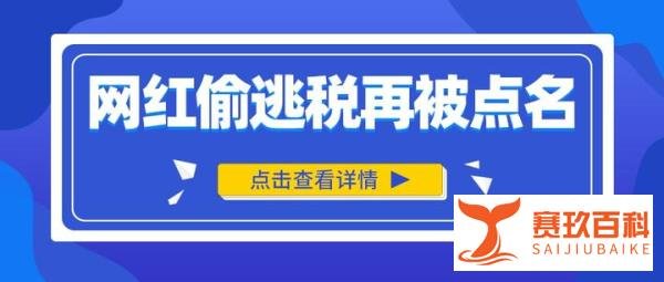 企业合规师：委员发声“惩处薇娅等偷逃税主播很必要”
