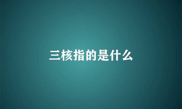 三核指的是什么