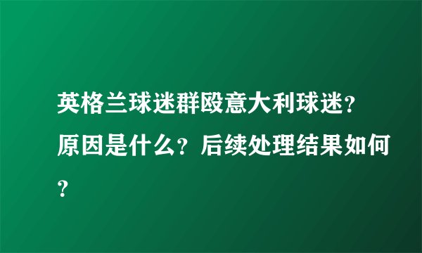 英格兰球迷群殴意大利球迷？原因是什么？后续处理结果如何？