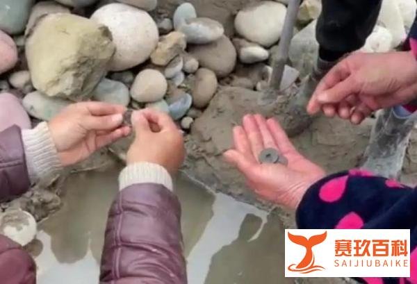 河滩惊现大量古铜钱！开元通宝卖50元一枚，文保部门介入