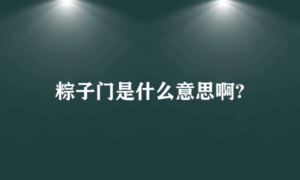 粽子门是什么意思啊?