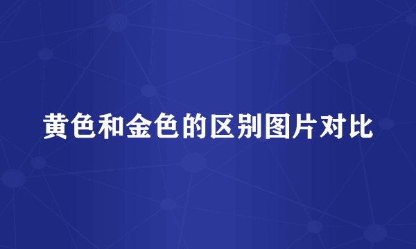 黄色和金色的区别图片对比