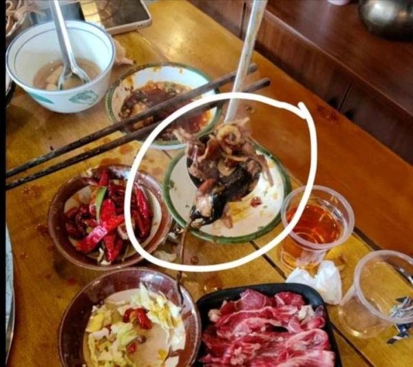 重庆男子牛杂火锅店吃出脱皮老鼠 网友：头一次光看文字都想吐