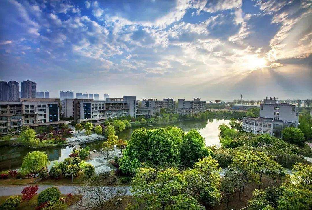 浙江财经大学2021录取分数线