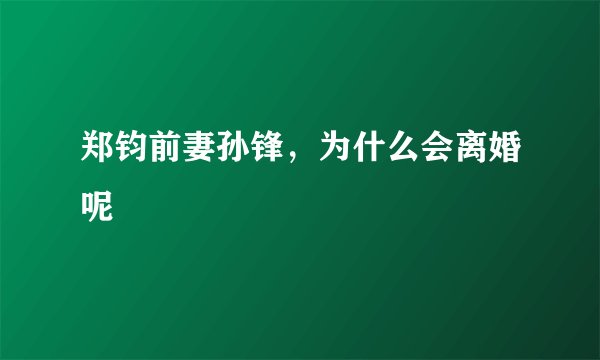 郑钧前妻孙锋，为什么会离婚呢