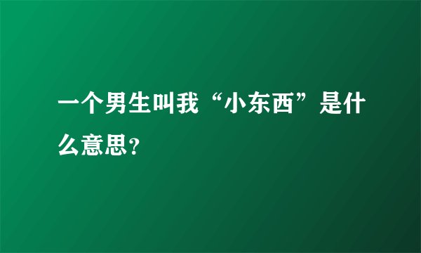 一个男生叫我“小东西”是什么意思？